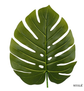 Foglia Artificiale Monstera H.76 cm