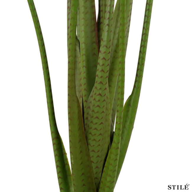 Pianta Artificiale Alocasia Realistica in PE 2 Misure