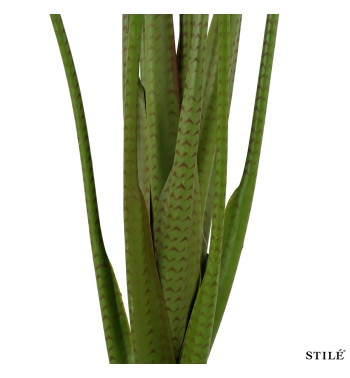 Pianta Artificiale Alocasia Realistica in PE 2 Misure