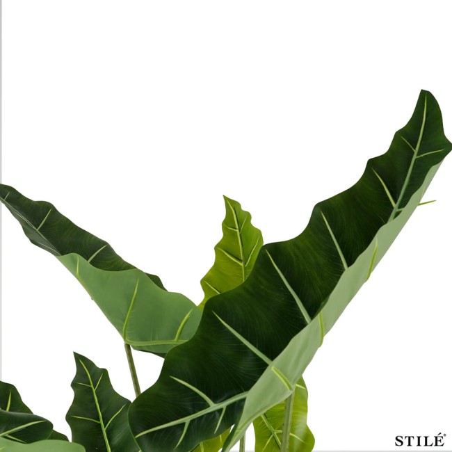 Pianta Artificiale Alocasia Realistica in PE 2 Misure