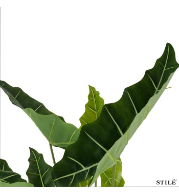 Pianta Artificiale Alocasia Realistica in PE 2 Misure
