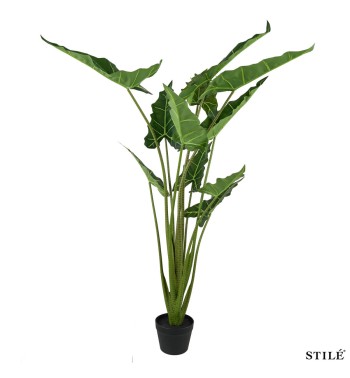 Pianta Artificiale Alocasia Realistica in PE 2 Misure