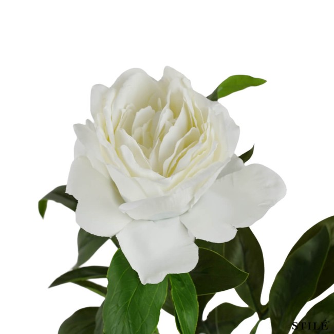 Peonia Artificiale Realistica 62 cm 3 Colori
