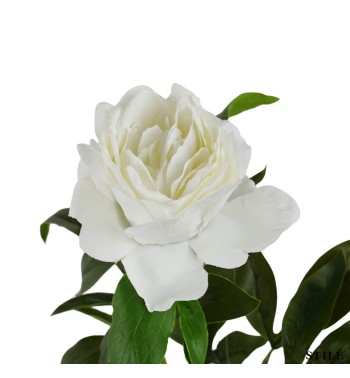 Peonia Artificiale Realistica 62 cm 3 Colori