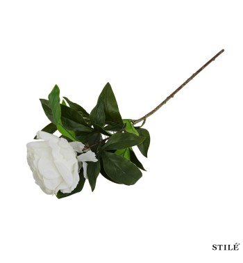 Peonia Artificiale Realistica 62 cm 3 Colori