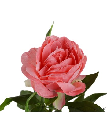 Peonia Artificiale Realistica 62 cm 3 Colori