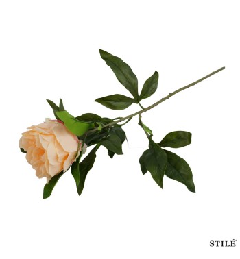 Peonia Artificiale Realistica 62 cm 3 Colori