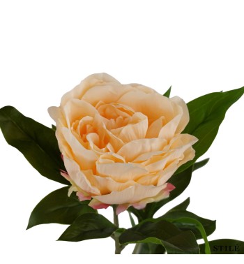 Peonia Artificiale Realistica 62 cm 3 Colori