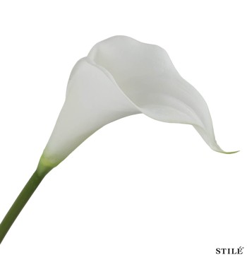 Calla Artificiale Bianca Real Touch 64 cm