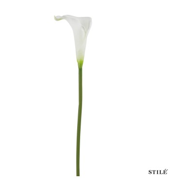 Calla Artificiale Bianca Real Touch 64 cm