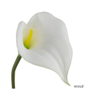 Calla Artificiale Bianca Real Touch 64 cm